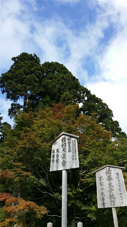 智广阿阇梨参加日本天台宗法华大会