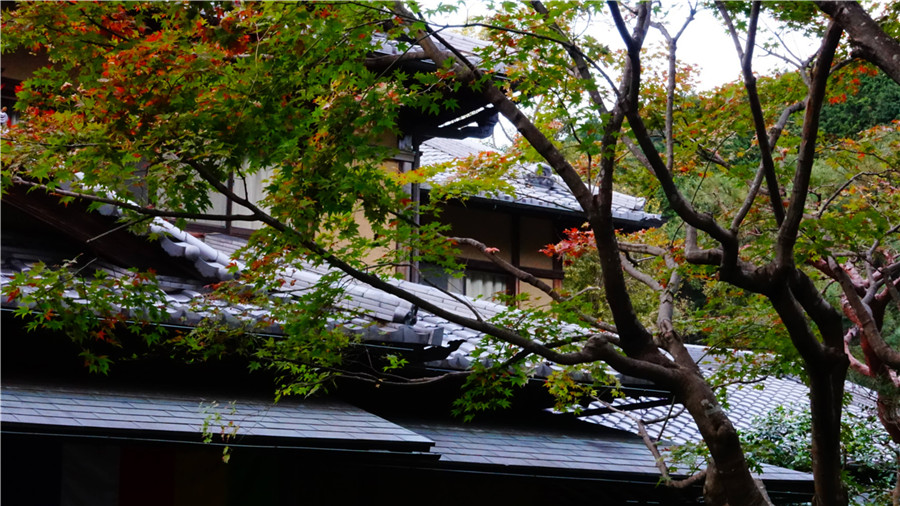 京都一乘院举行智广阿阇梨入山式