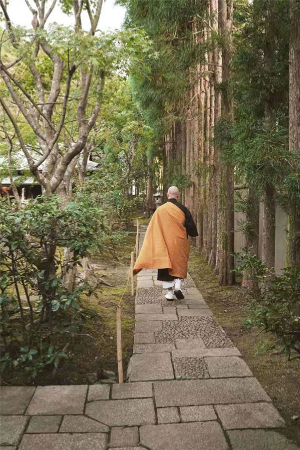 WeChat Image_20181109221016.jpg