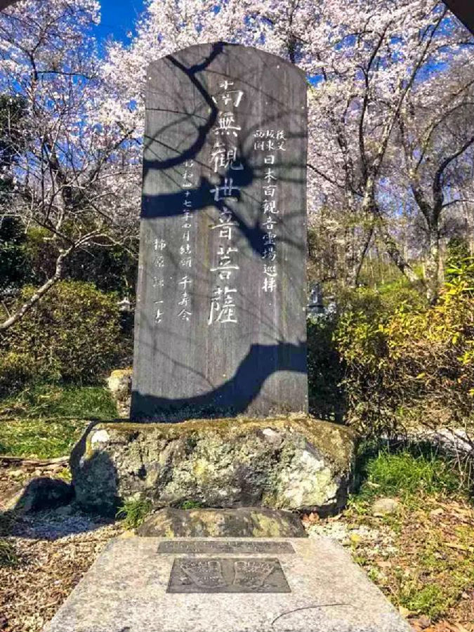西天取经那么难，佛为啥不直接给？|智广阿阇梨百观音巡礼精彩片段回放（五）