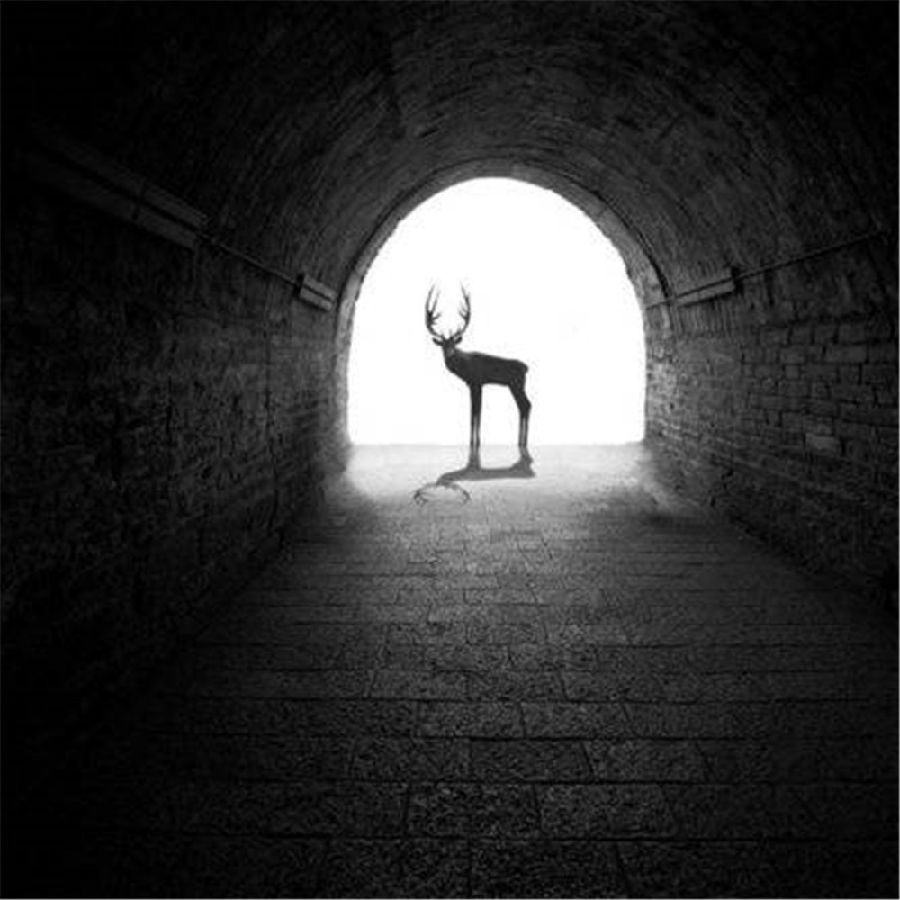 WeChat Image_20180519175027.jpg
