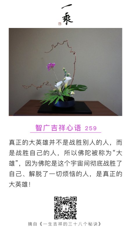 智广吉祥心语259