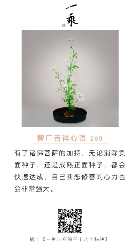 智广吉祥心语269