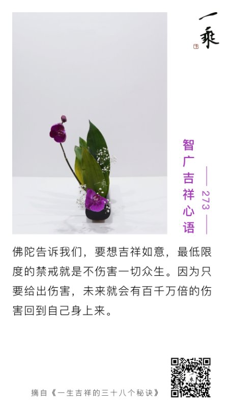 智广吉祥心语273