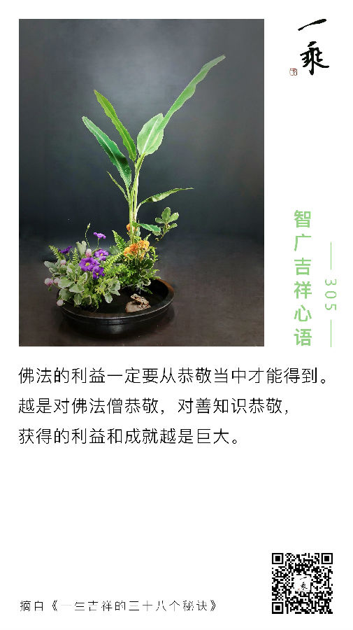 智广吉祥心语305