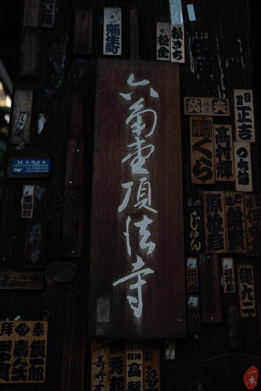 你是世界上唯一的那朵花丨智广阿阇梨百观音巡礼之“枫彩观自在”（六）