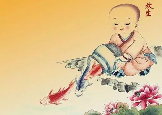 问答录6：别人送你活鱼活虾怎么办？