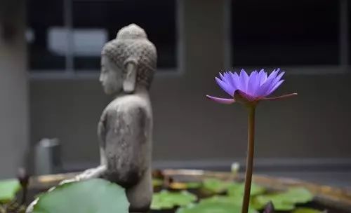问答录15：怎样理解“日日是好日，事事是好事”？
