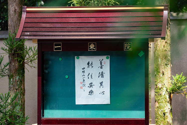 超越一切困难和痛苦的秘密武器——道心 | 智广阿阇梨不动明王巡礼（五）