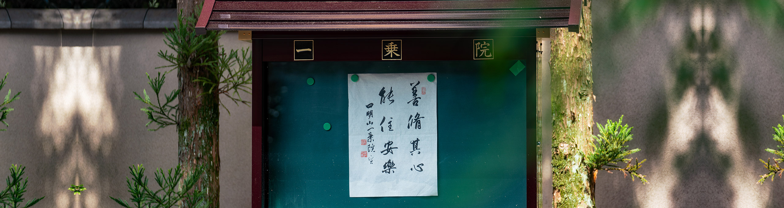超越一切困难和痛苦的秘密武器——道心 | 智广阿阇梨不动明王巡礼（五）