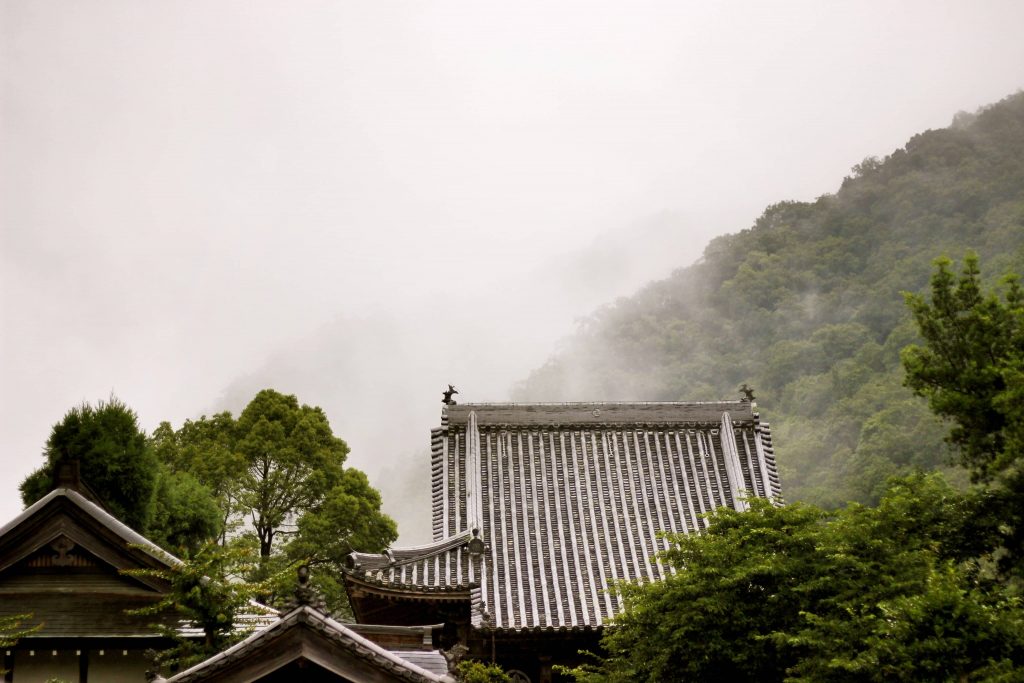 尽谊尽分 求生净土|印光大师教言选讲（连载五）