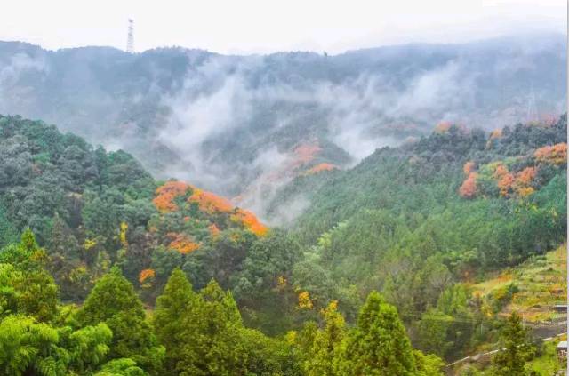 追溯三国传灯 遍路四地结愿 之 高野山结愿