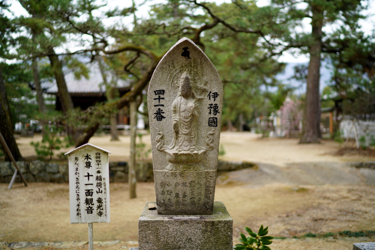 观音密修次第——必得灵应